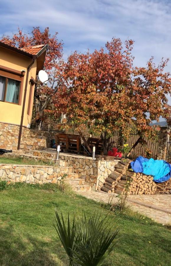 Sunshine Villa Dzhigurovo 桑丹斯基 外观 照片