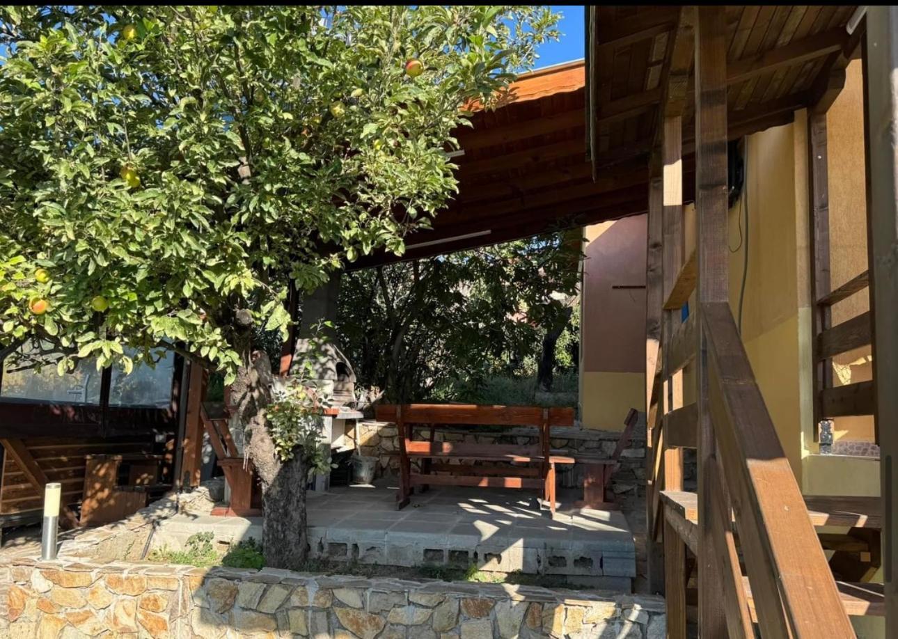 Sunshine Villa Dzhigurovo 桑丹斯基 外观 照片